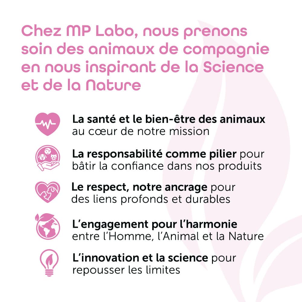 Spray Démêlant®