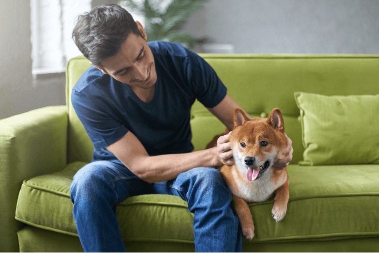 Mon chien ne fait plus ses besoins