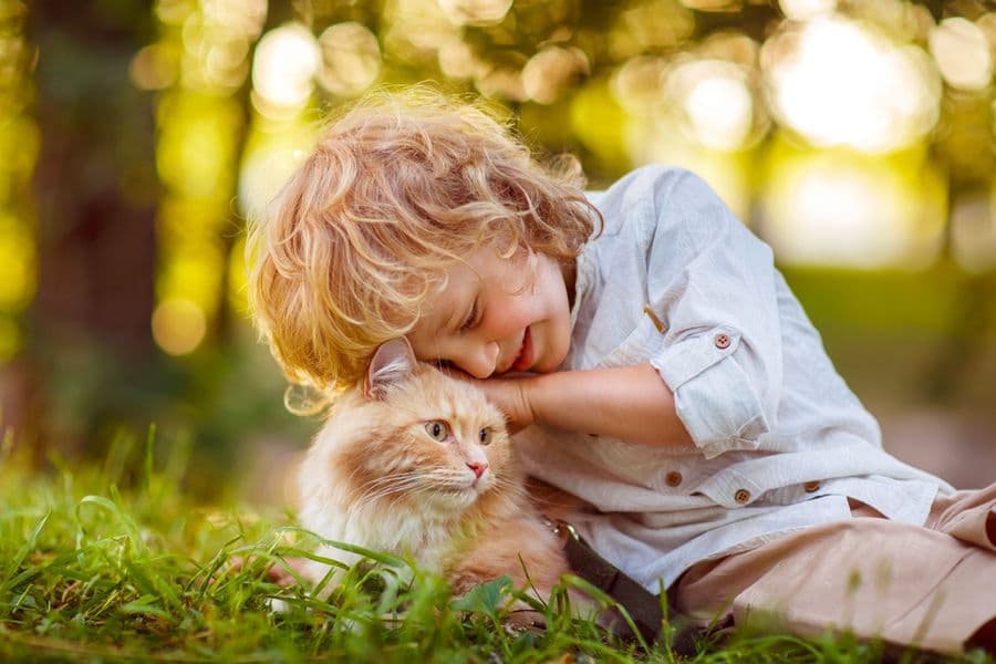 Natural and Organic Pet Care and Hygiene Products: What Guarantees for Owners?