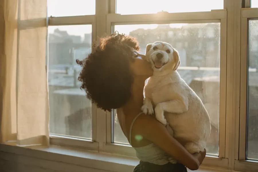 My pet has diarrhea—is it serious?
